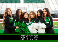 Seniors
